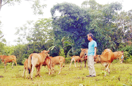 Trên mảnh đất anh hùng Tiên Phước ảnh 2